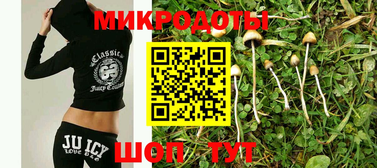 Псилоцибиновые грибы Psilocybe  Псилоцибиновые грибы мицелий  Гай  Вход с VPN 